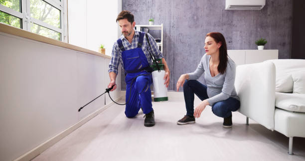 Best Residential Pest Control  in Oracle, AZ